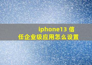 iphone13 信任企业级应用怎么设置